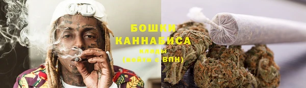 трава Сатка