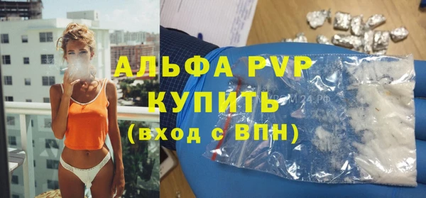 трава Сатка