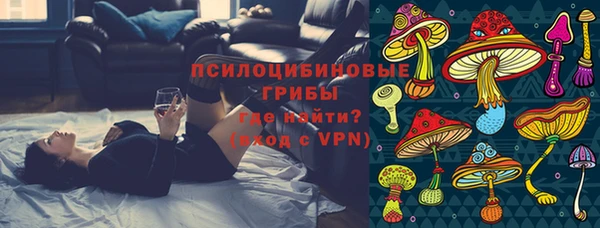 а пвп мука Абаза