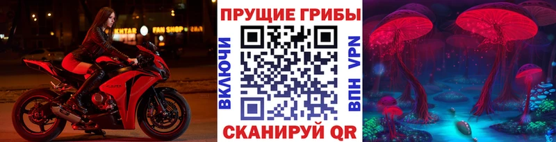 Псилоцибиновые грибы мухоморы  где купить   Новомичуринск 